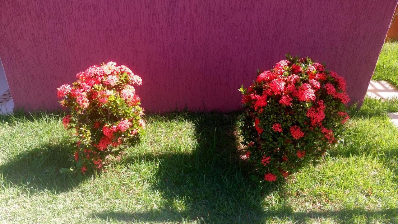 Linda Casa De Campo - Proximo A Sp - Wi-Fi Gratis Бом Жезус дус Пердоес Екстериор снимка